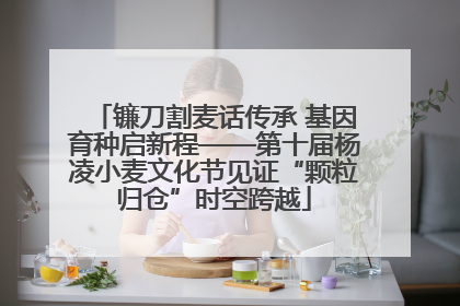镰刀割麦话传承 基因育种启新程——第十届杨凌小麦文化节见证“颗粒归仓”时空跨越